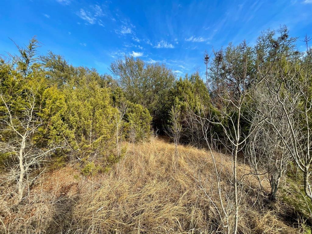 Property Photo:  2545 Schooner Way  TX 76433 