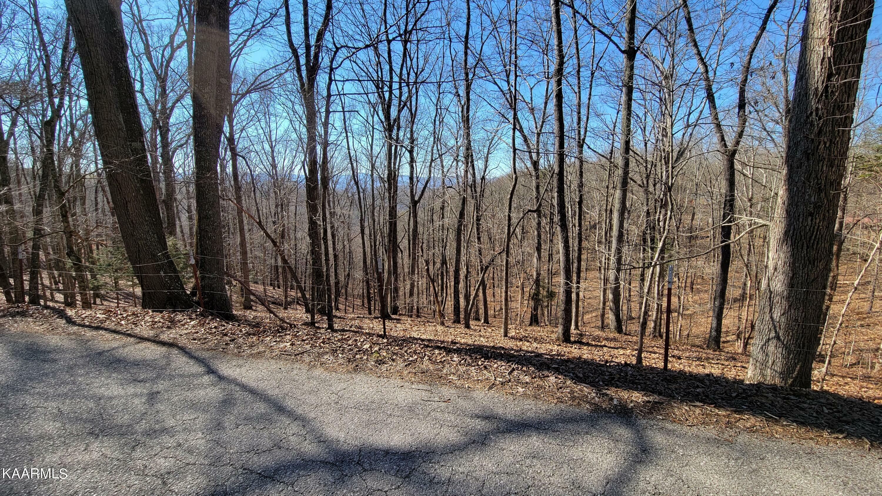 Property Photo:  Chestnut Stump Rd  TN 37766 