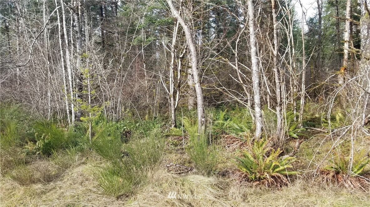 Property Photo: 0 Lot 2 W Cooks Place WA 98541