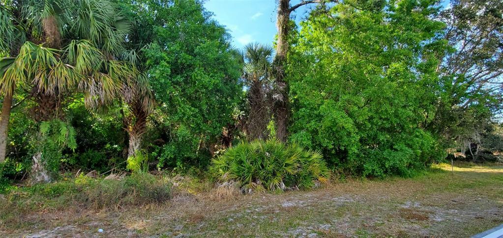 Property Photo:  1179 Inverness Street  FL 33952 