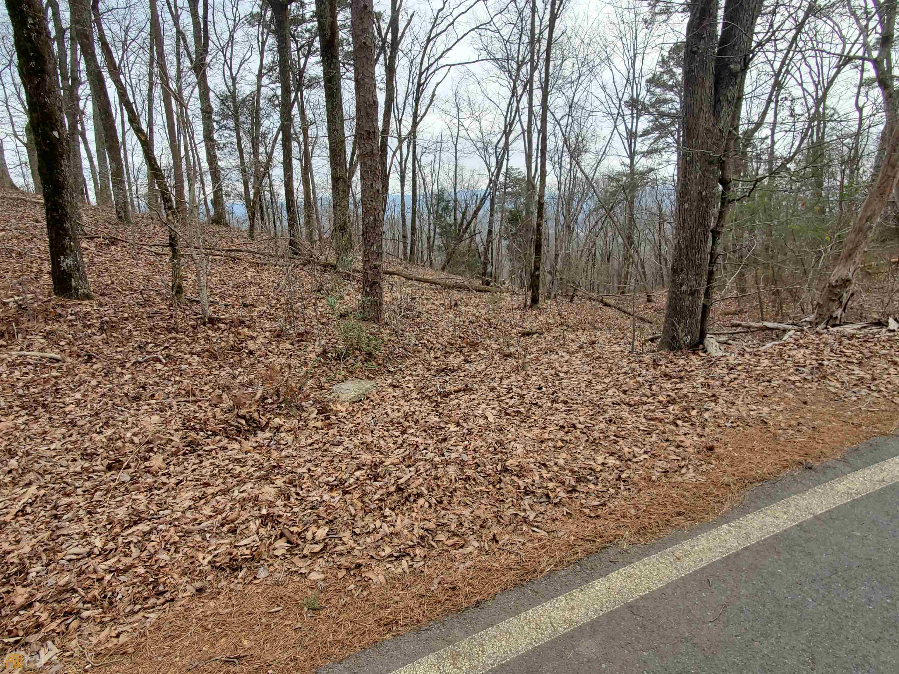Property Photo: 0 Smith Road GA 30165