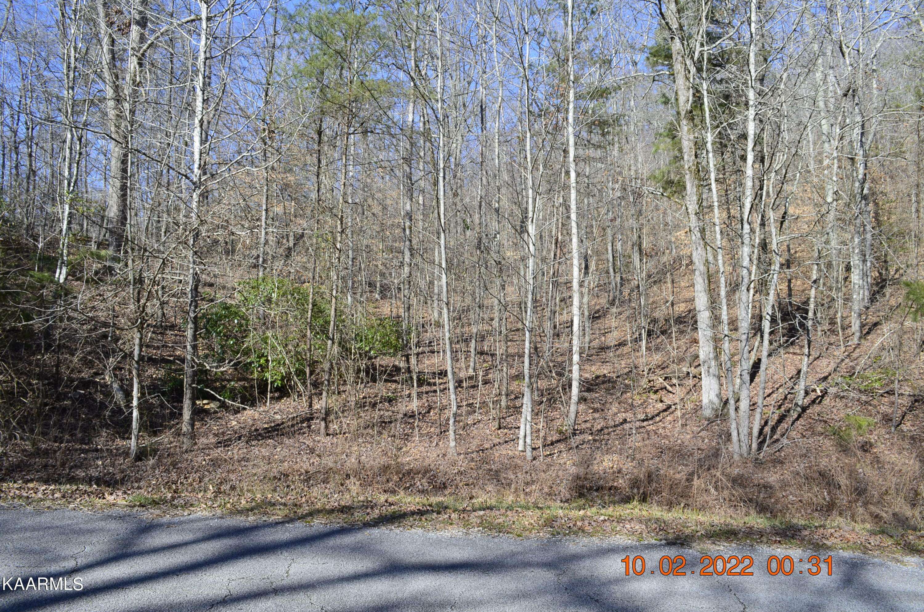 Property Photo:  Lot 302 Bluegreen Way  TN 37854 