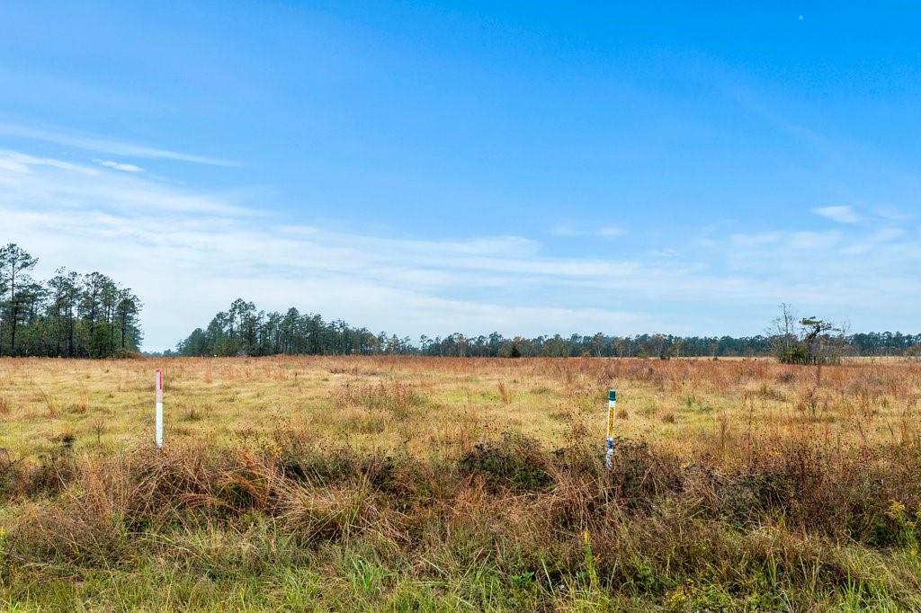 Property Photo:  McCorquodale Lot 17 Road  LA 70652 