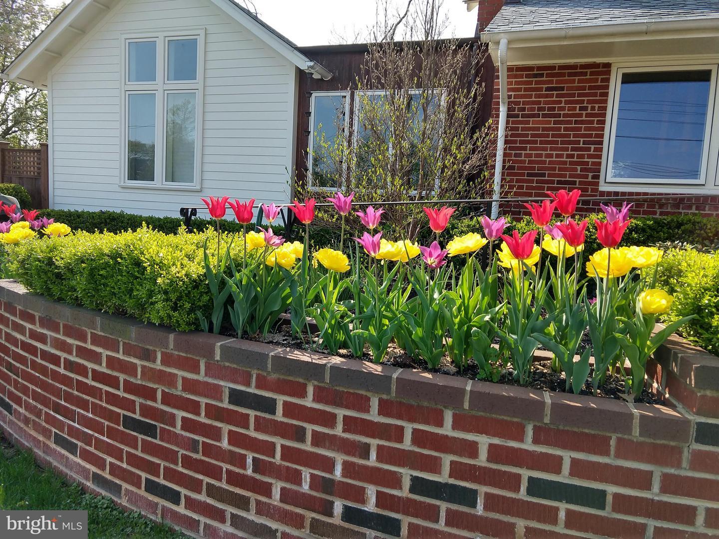 Property Photo: 515 Putnam Place VA 22302
