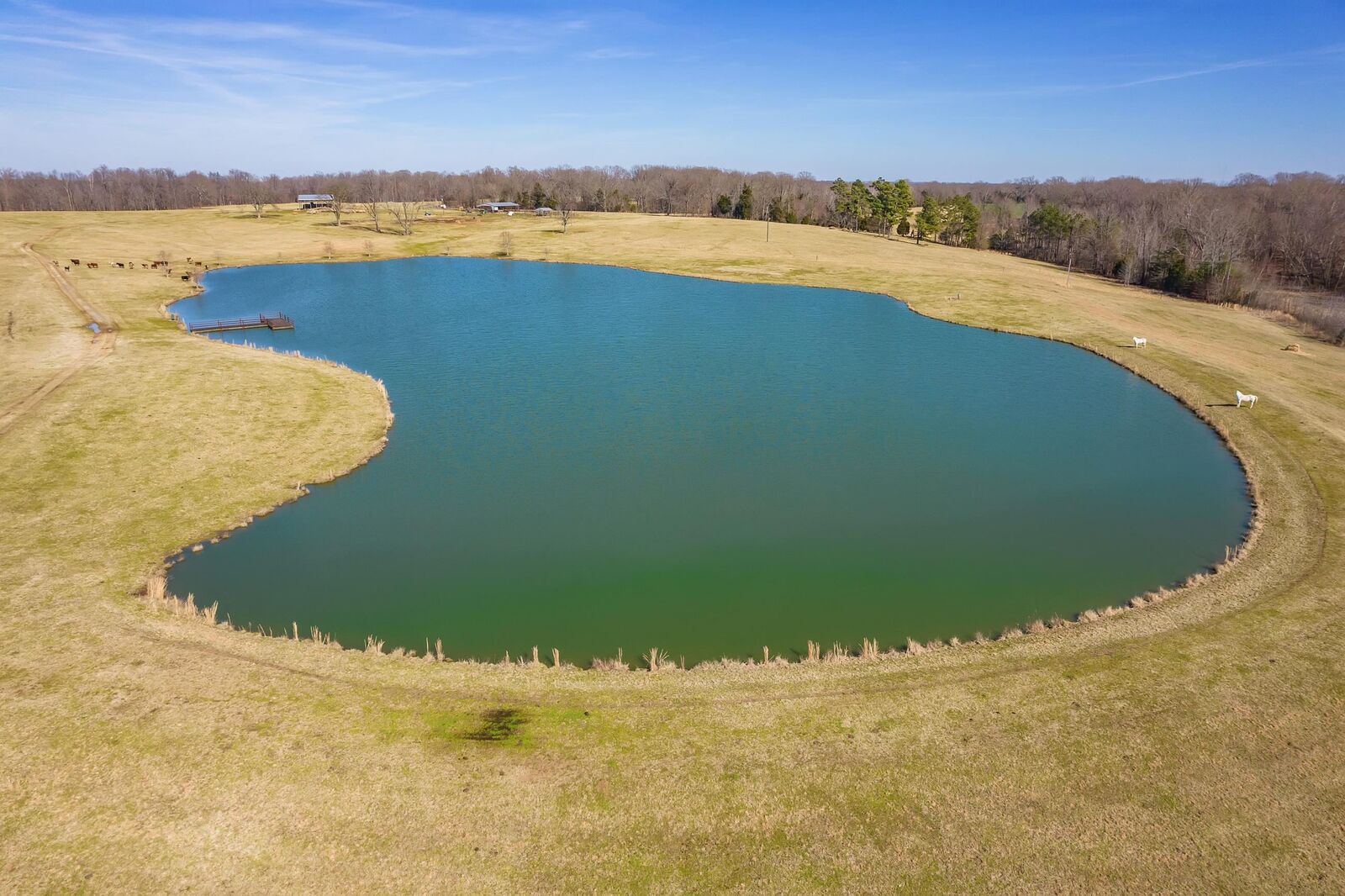 Property Photo:  0 Lower Brownsville Road  TN 38301 