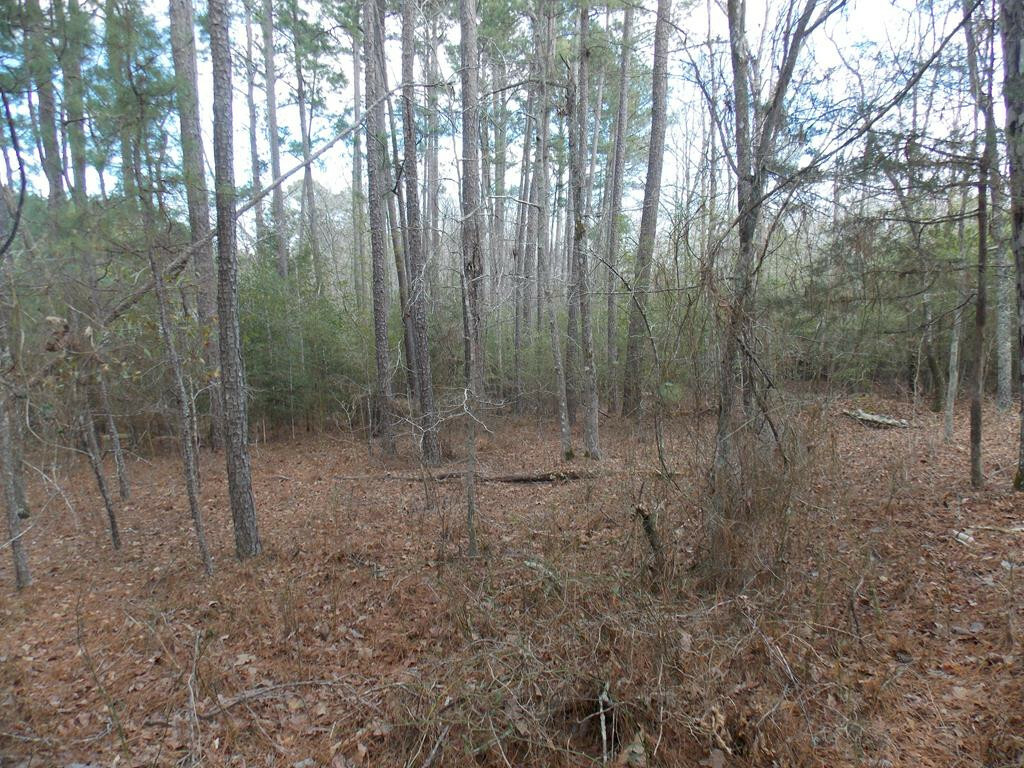 Property Photo:  2 Highway 378  GA 30817 