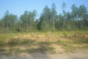 Lot 15 Goodeaux Rd  Longville LA 70652 photo