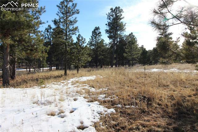 Property Photo:  12172 Goodson Road  CO 80908 