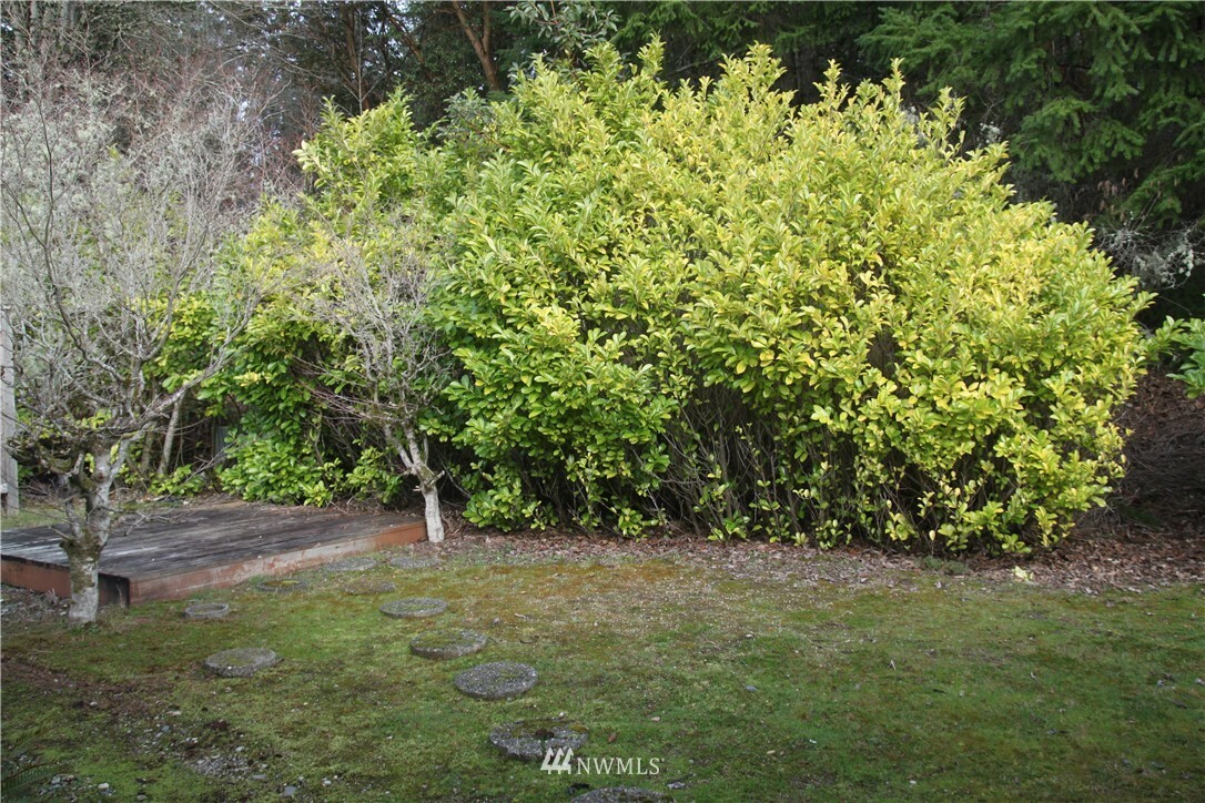 Property Photo:  163 Sereno Circle Drive  WA 98312 