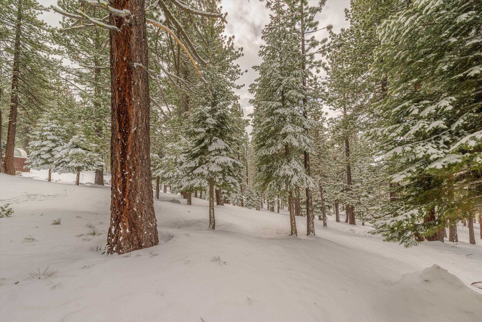 Property Photo: 11174 Mougle Lane CA 96161
