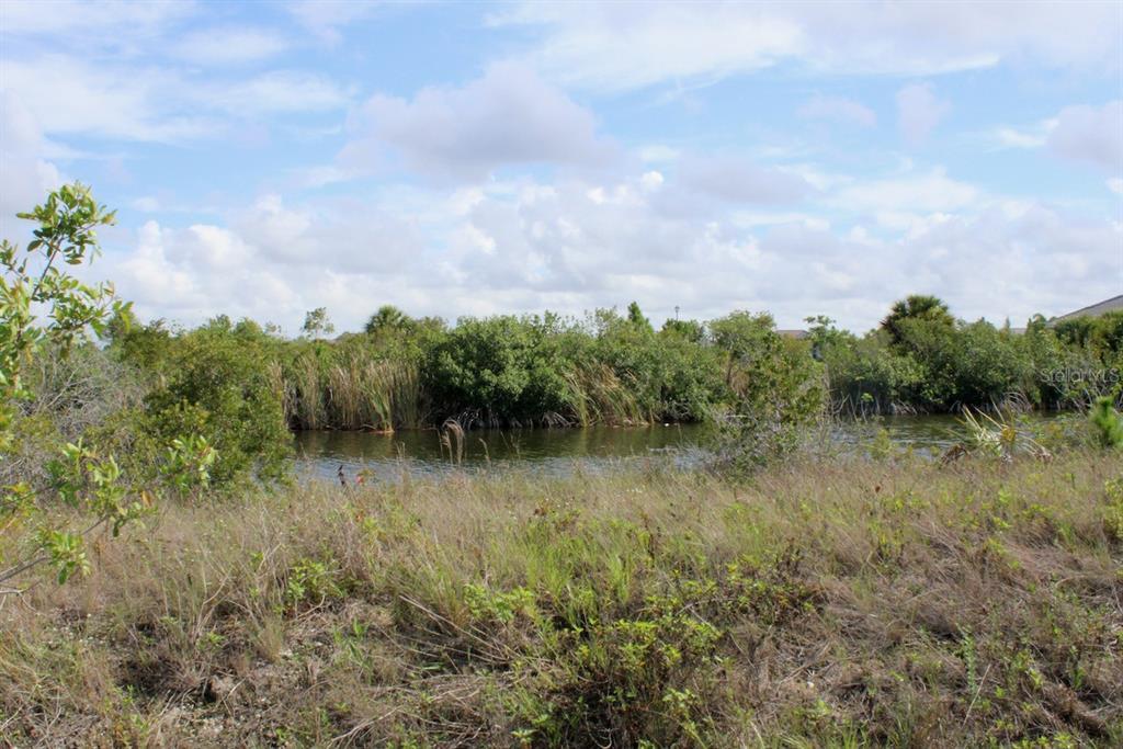 Property Photo: 15084 Leipzig Circle FL 33981