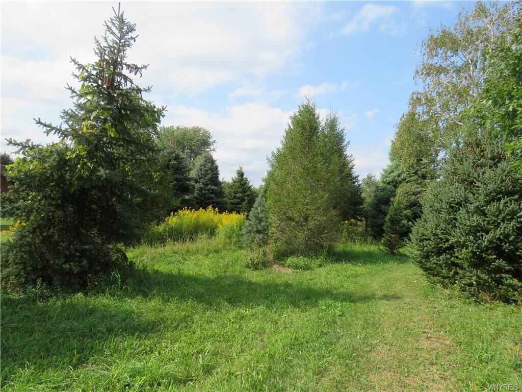 Property Photo:  1571 Jamison Road  NY 14059 
