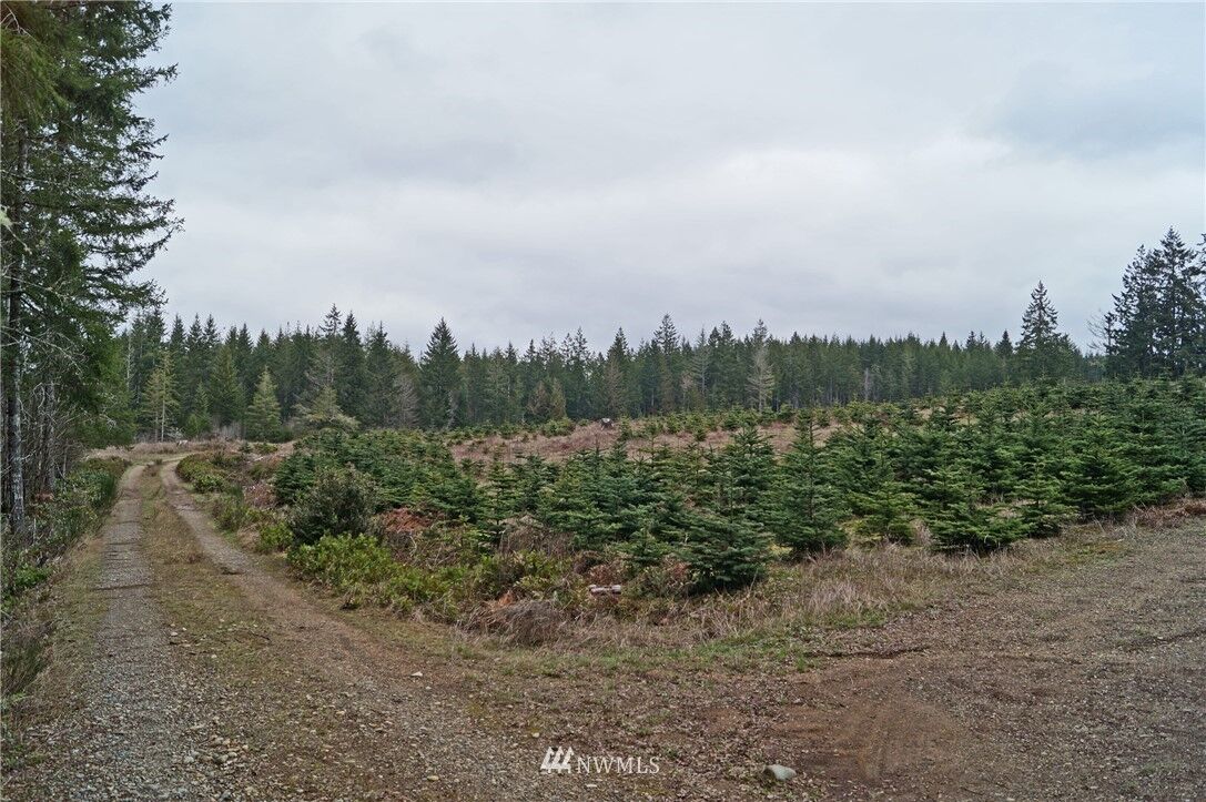 Property Photo:  1703 E Spencer Lake Road  WA 98584 