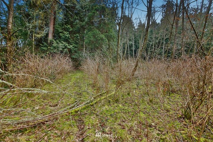 Property Photo: 5926 Bob Galbreath Road WA 98236