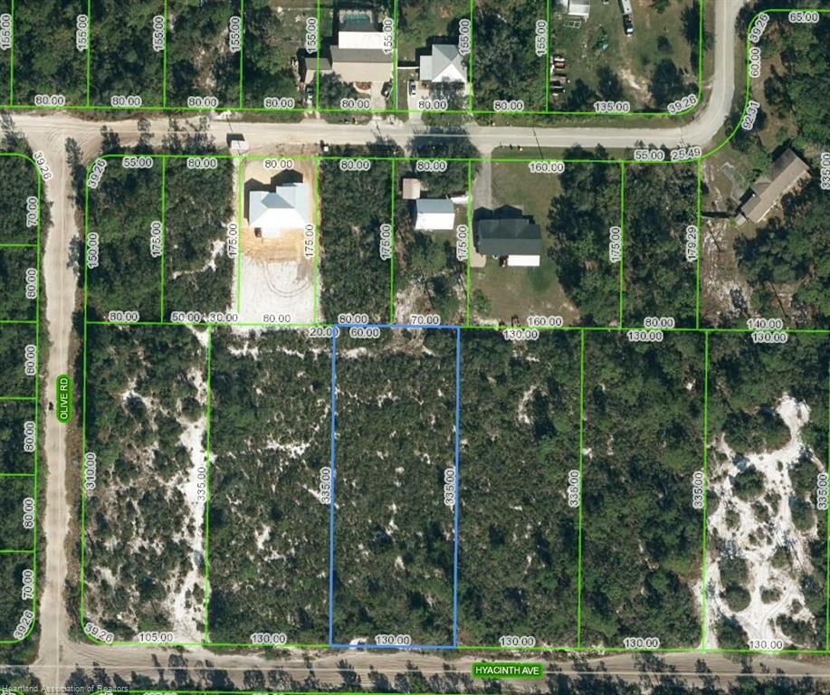 Property Photo:  1152 Hyacinth Avenue  FL 33875 