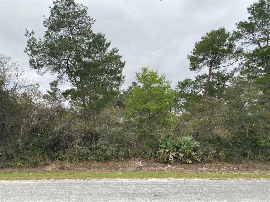 Property Photo:  6th Avenue  FL 32724 