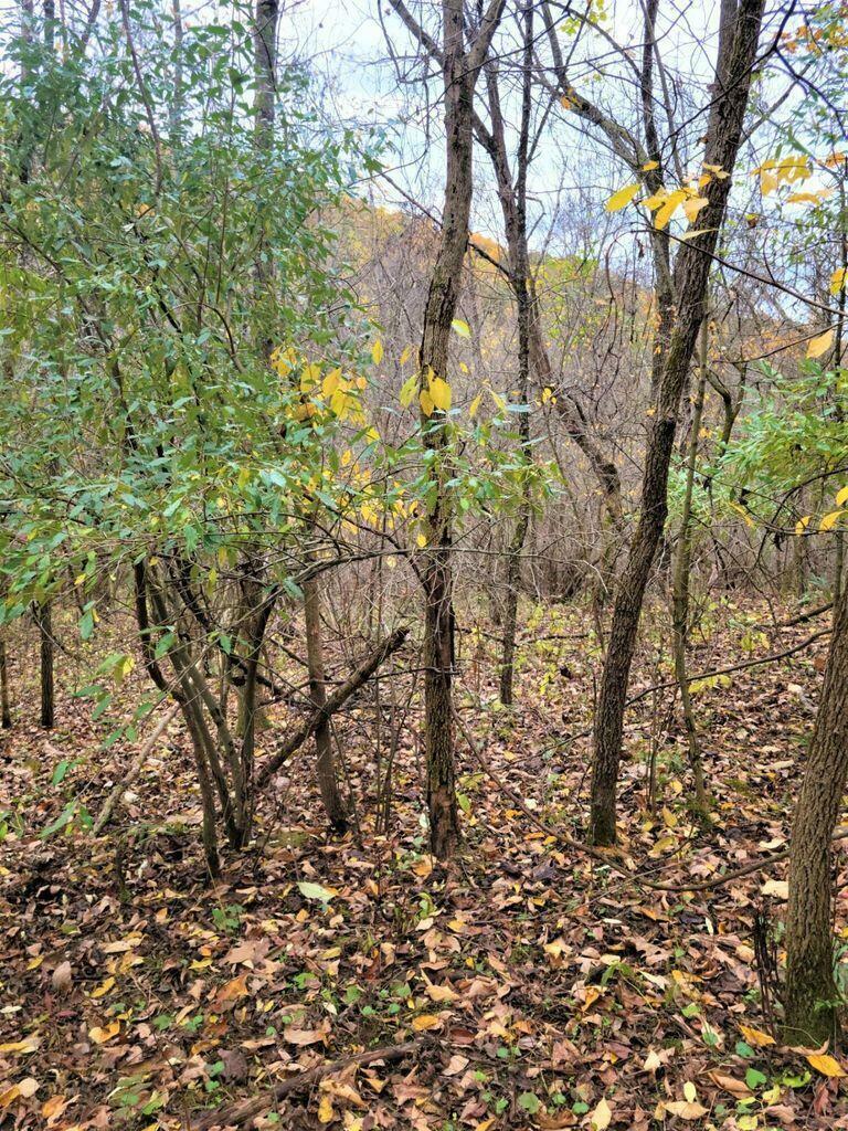 Property Photo: 000 Marne Road OH 43830
