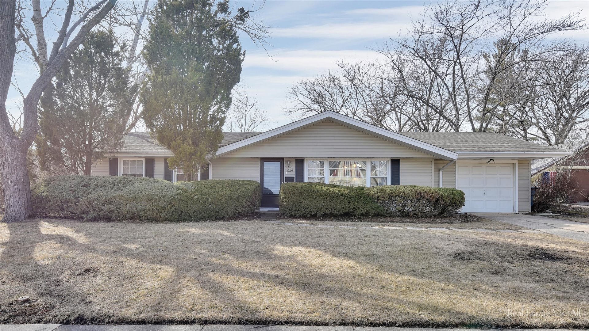 Property Photo:  224 Whittier Court  IL 60193 