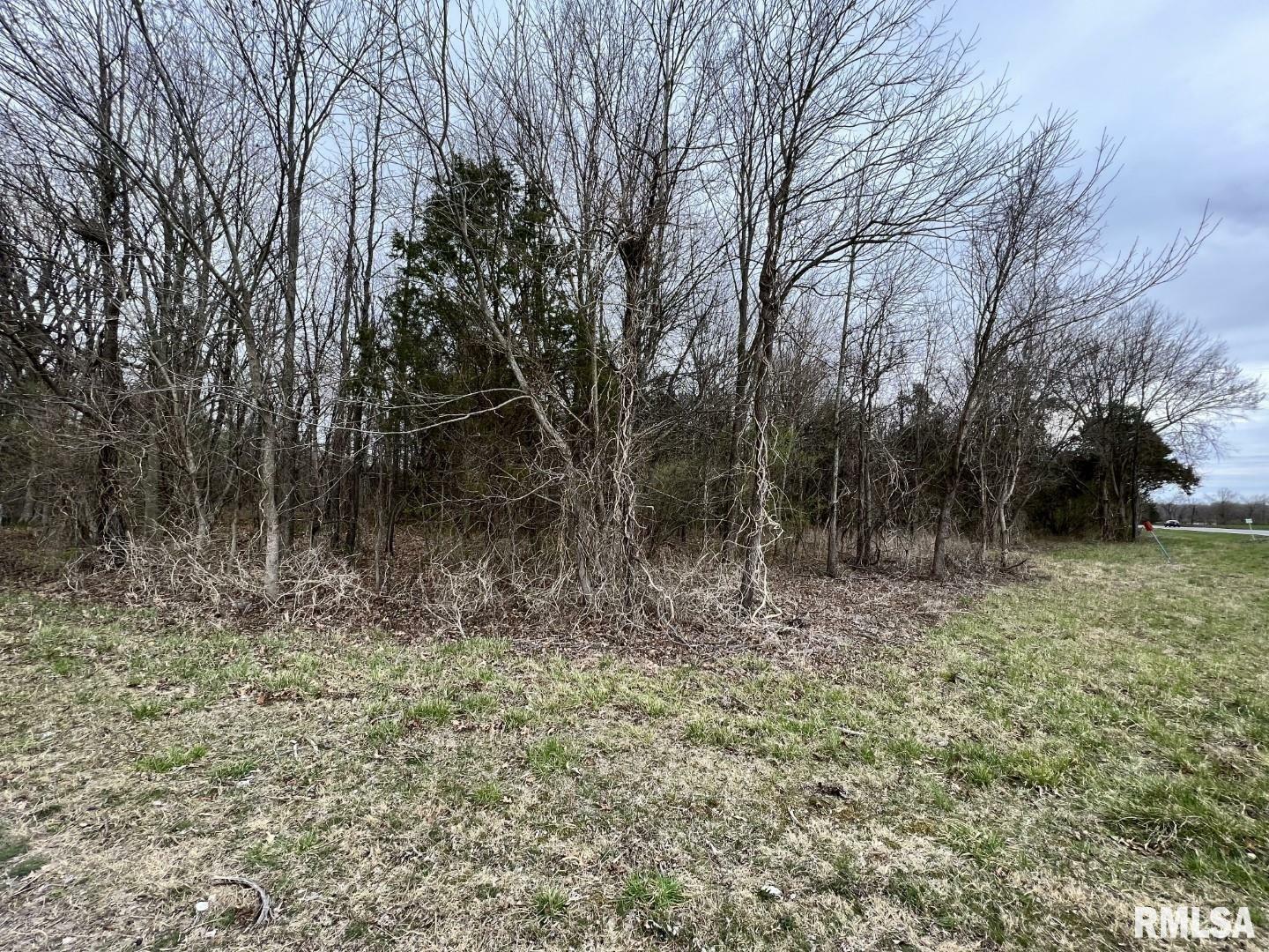 Property Photo: 000 US Route 51 Highway IL 62924