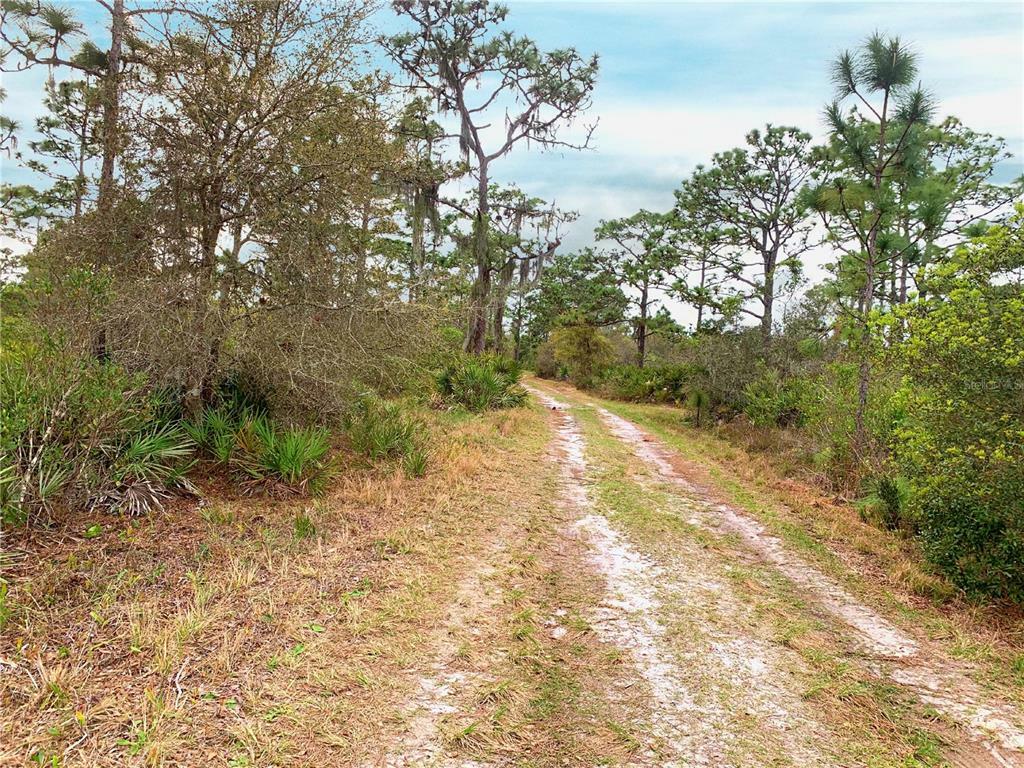 Property Photo:  Crabgrass Road  FL 34773 