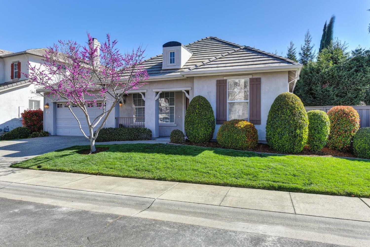 22 Michelson Court  Sacramento CA 95835 photo