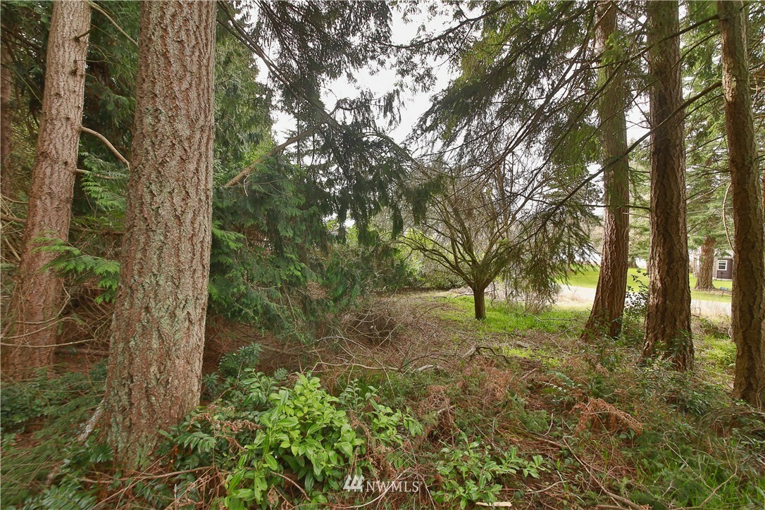 Property Photo:  0 Lot 6 Apollo Road  WA 98260 