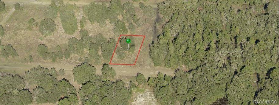 Property Photo:  8217 W Lawton Lane  FL 34428 