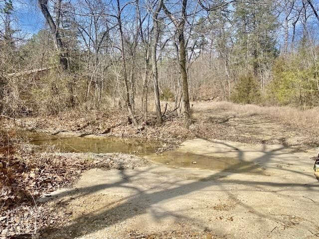 Property Photo:  11 Hopewell Hollow  AR 72658 