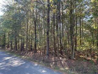 Lot 7 Big Lake Road  Pineville LA 71360 photo