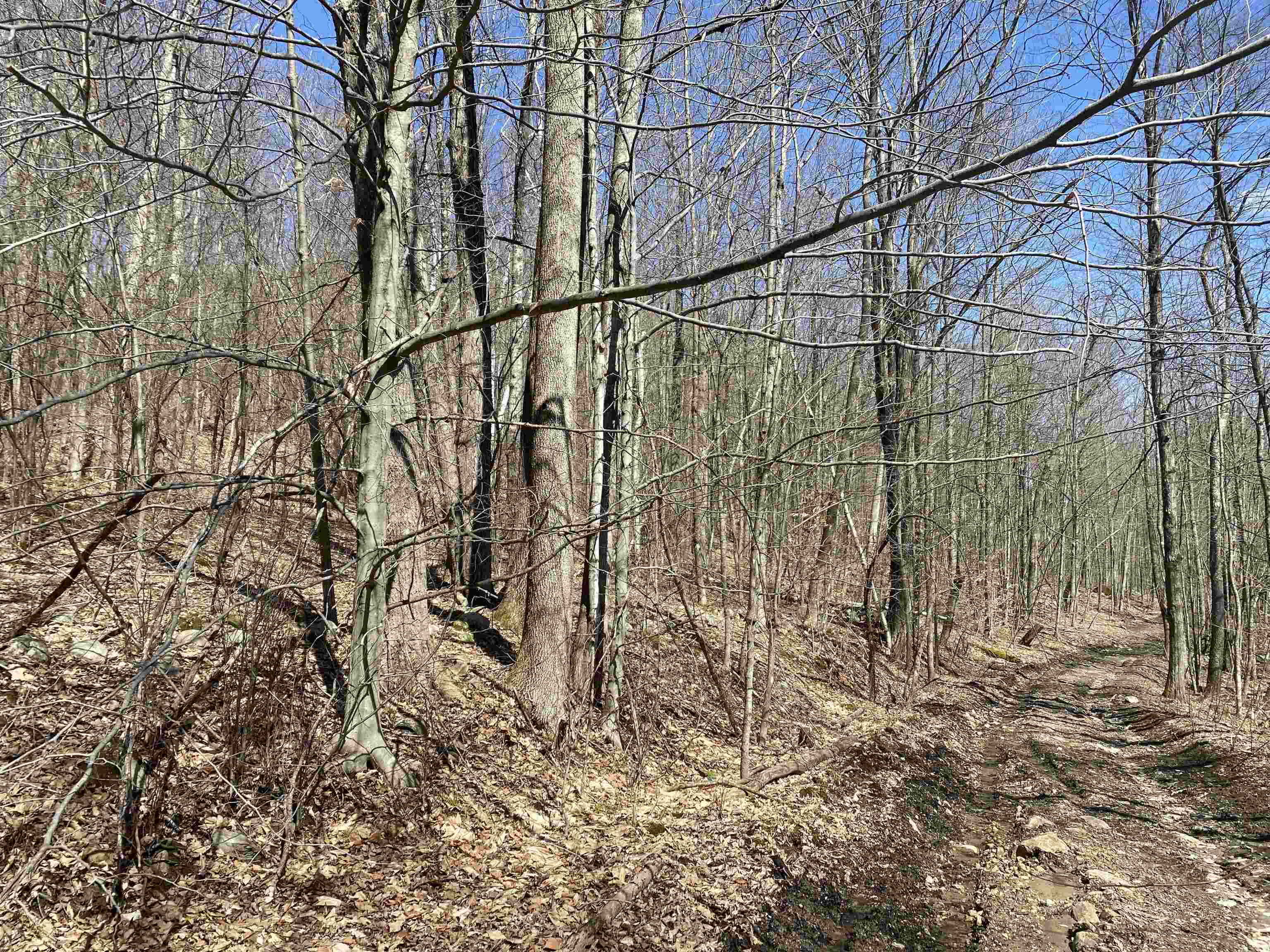 Property Photo:  0 Horton Lot B Road  VT 05759 