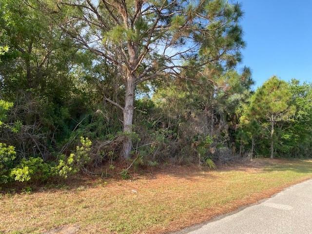 Property Photo:  14361 Cando Avenue  FL 33981 