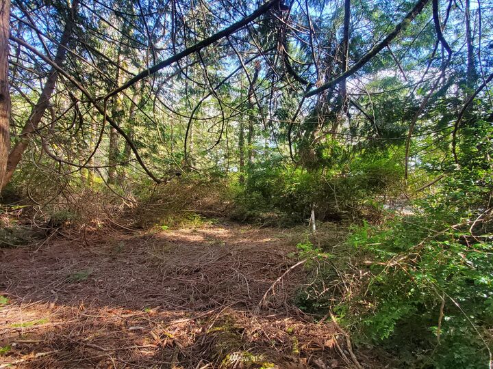 Property Photo: 399 E Pointes Drive E WA 98584