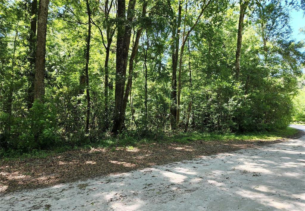 Property Photo:  0000 SW Delaware Way  FL 32038 