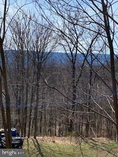 Property Photo: 291 Marty Lane WV 25422