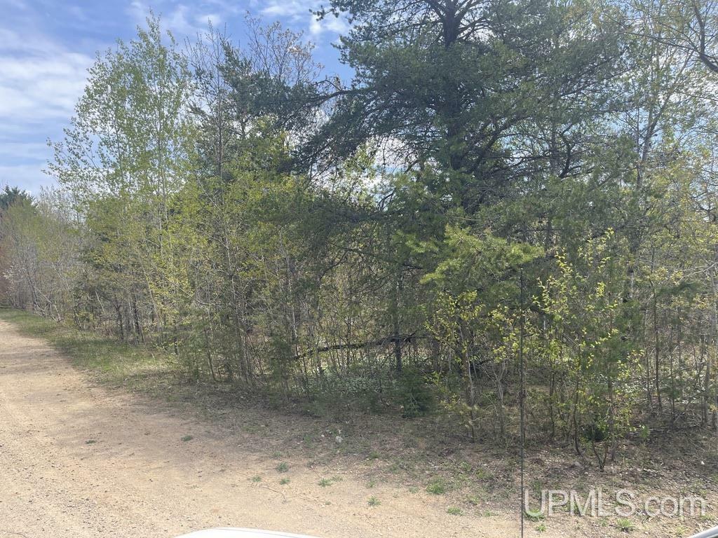 Property Photo: Tbd Brock Dr MI 49895
