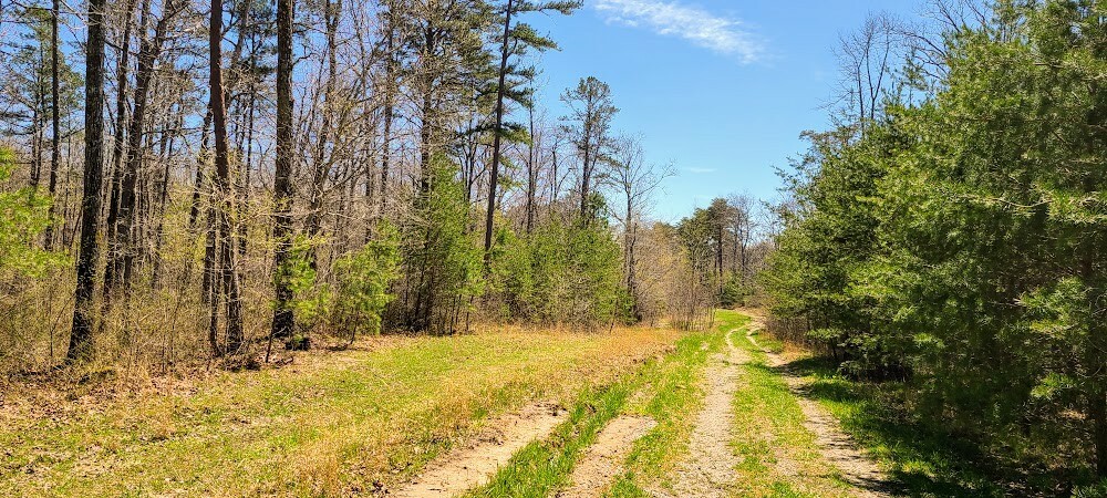 Property Photo:  0 Pigeon Spur Rd  TN 37387 