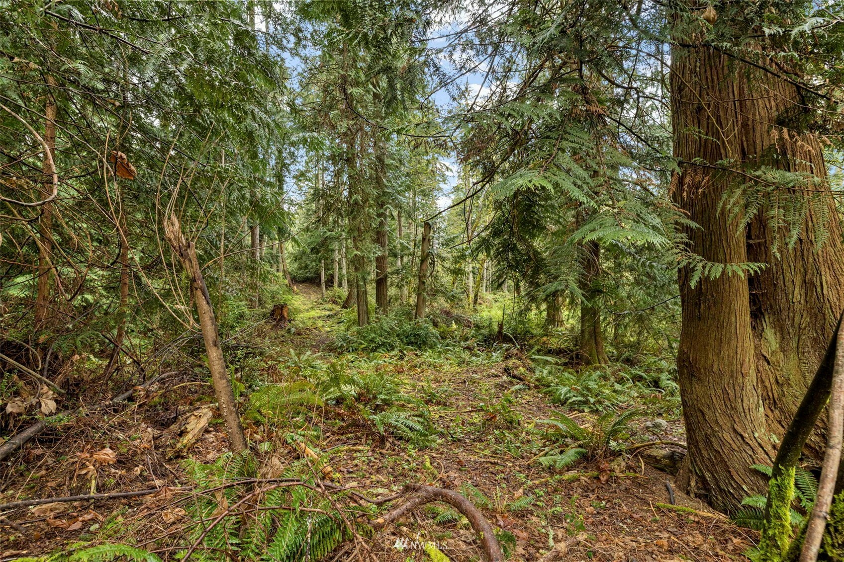 Property Photo:  720 8th Avenue  WA 98333 