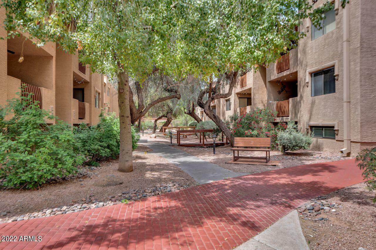 Property Photo:  3031 N Civic Center Plaza 224  AZ 85251 