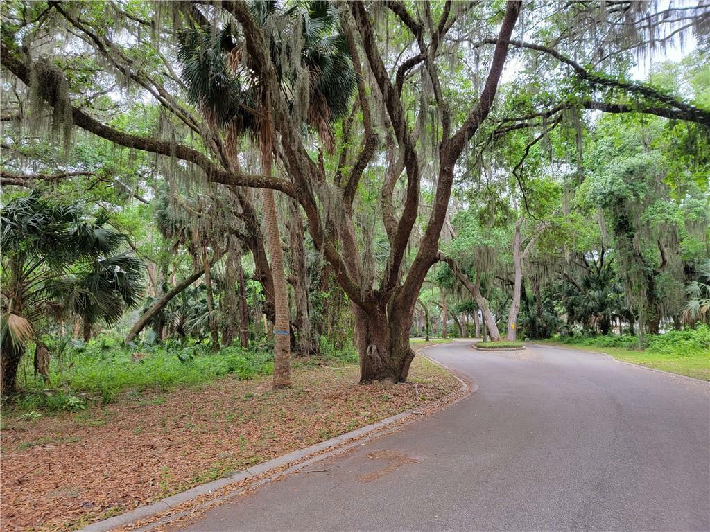 Lot 34 Piney Island Drive  Fernandina Beach FL 32034 photo