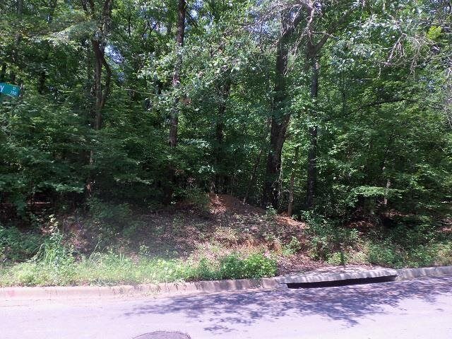 Tbd--Lot 15 Willow Springs Road Lot 15  Kilgore TX 75662 photo
