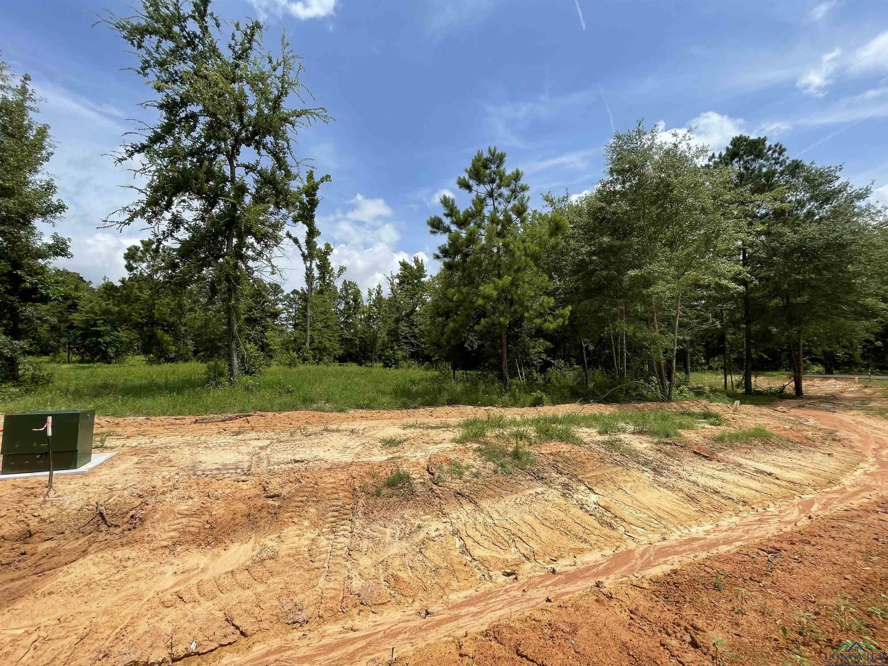 Property Photo:  Tbd Cr 2160 D, Phase 2, Lot 8  TX 75691 