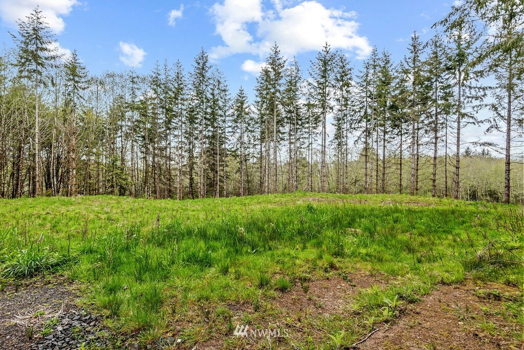 Property Photo:  135 Elochoman Valley Road  WA 98612 