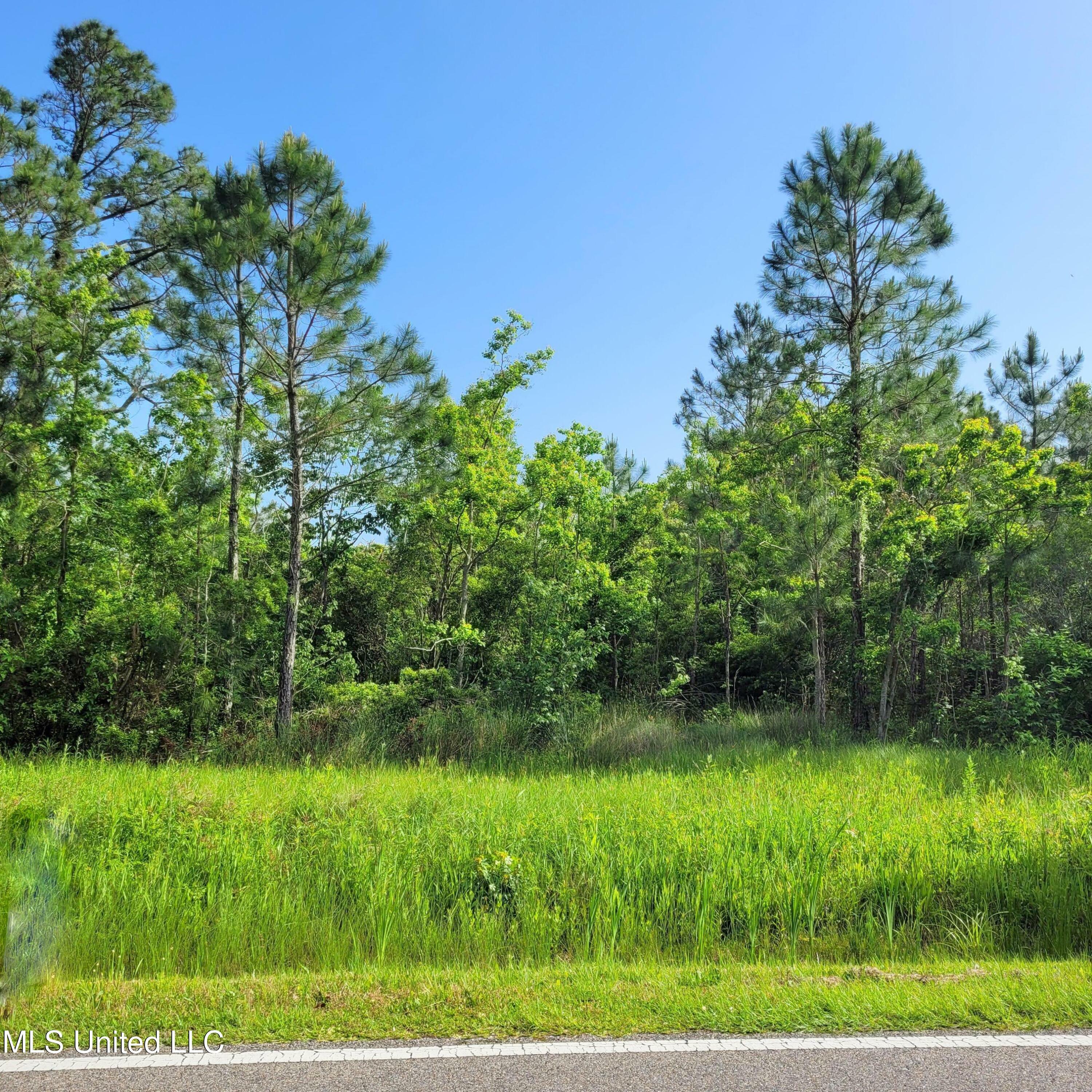 Property Photo:  00 Bayview Street  MS 39571 