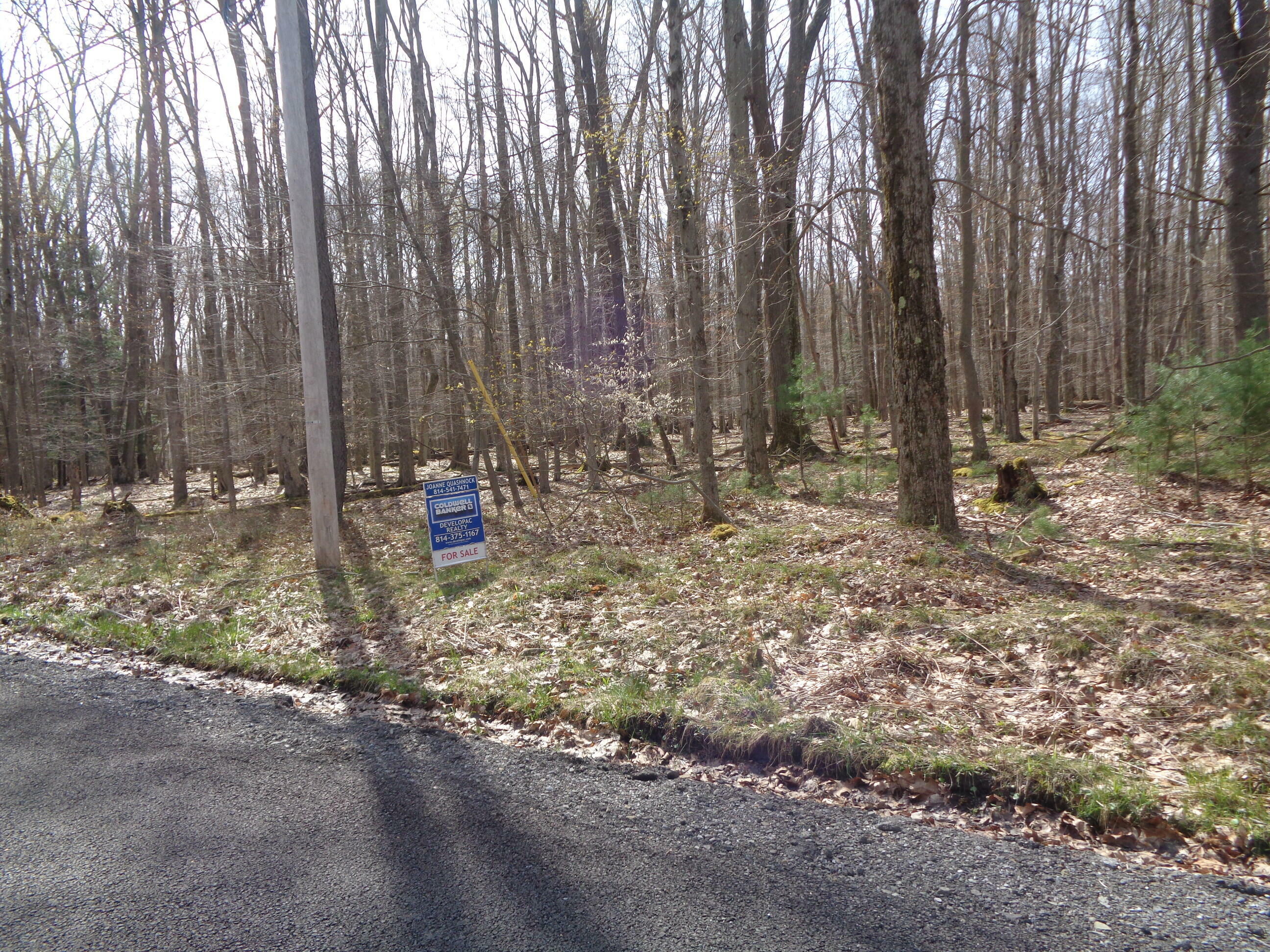 Property Photo:  Sec 18 St Martin Rd  PA 15801 