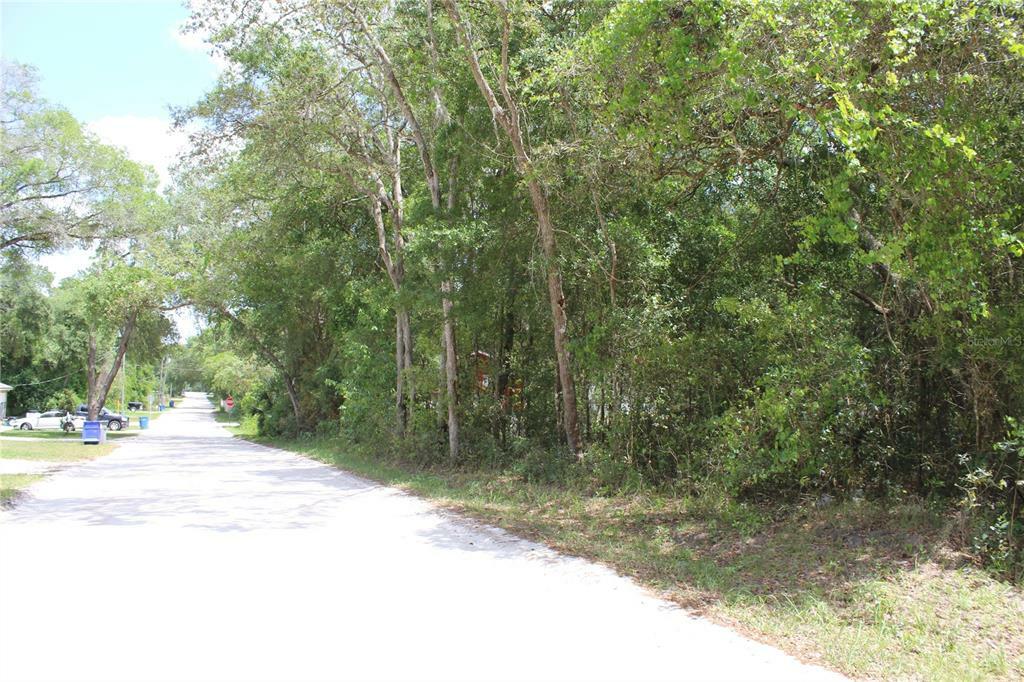 Property Photo:  W New York Avenue  FL 32763 