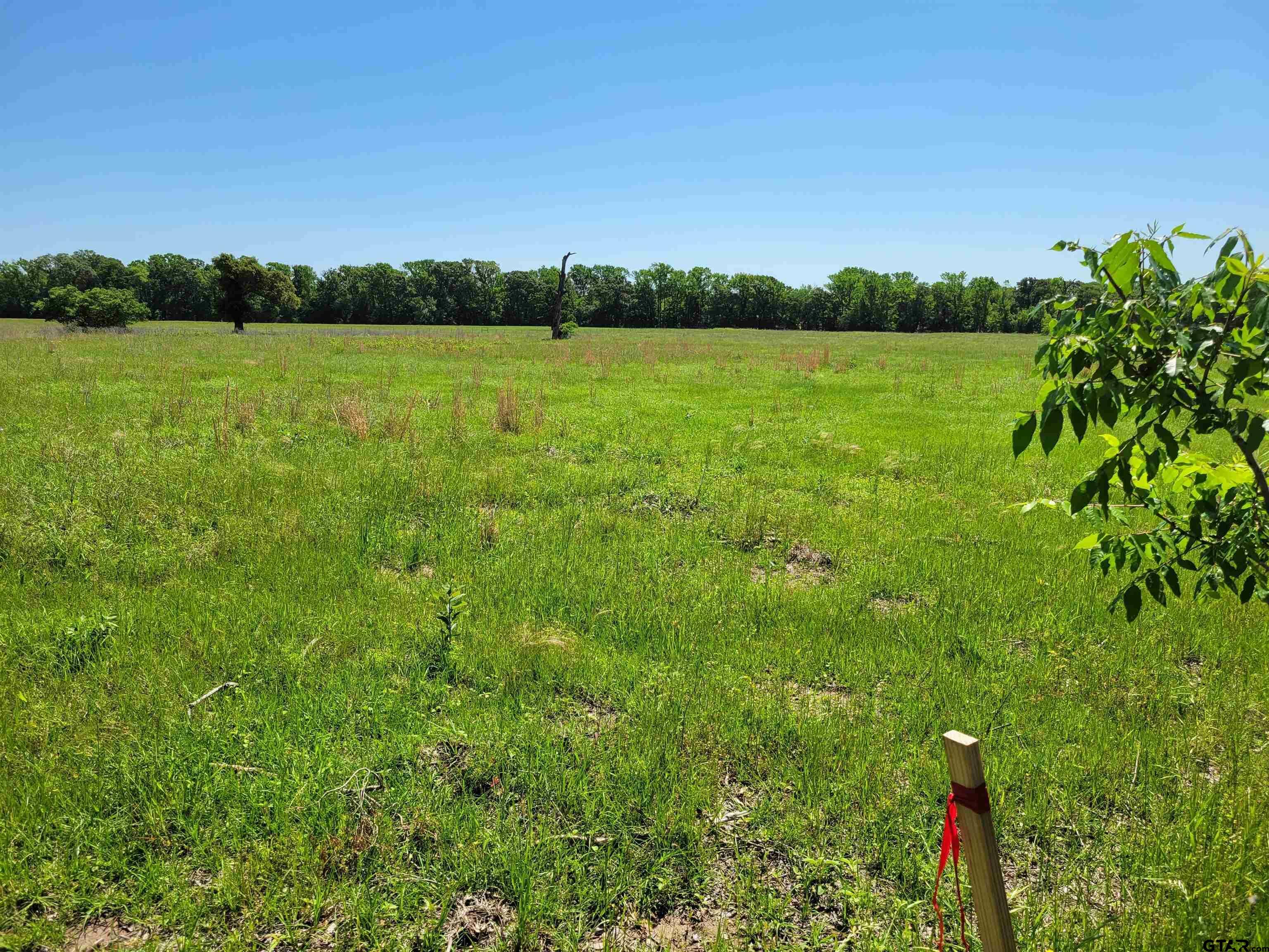 Property Photo:  Lot 5 Cr 2389  TX 75410 