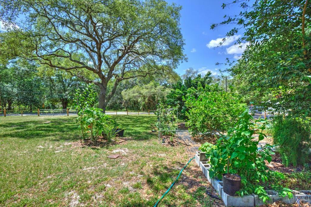 Property Photo:  3802 E River Hills Drive  FL 33604 