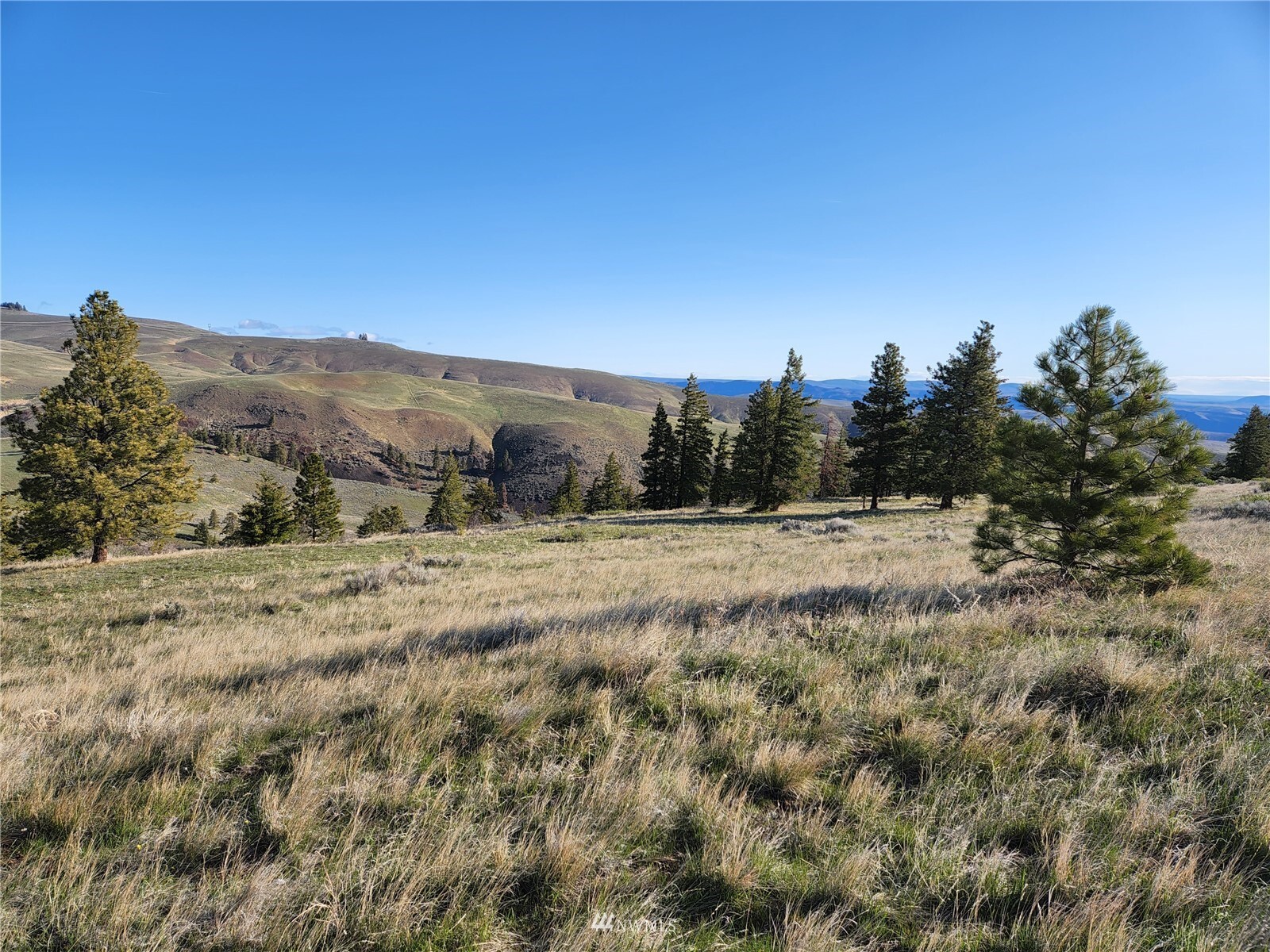 Property Photo: 0 Kingsbury Road WA 98828