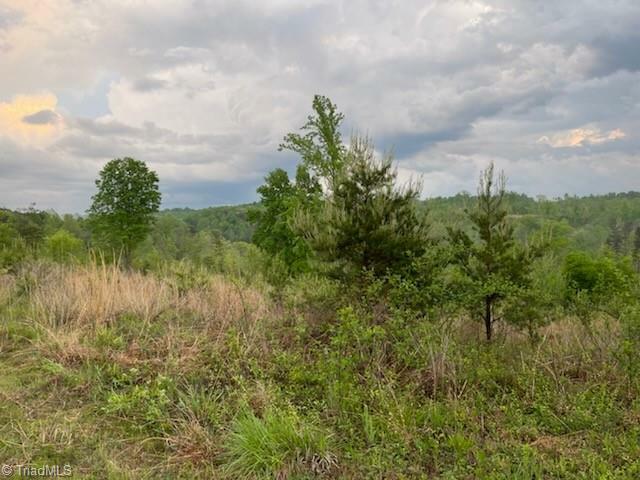 Property Photo:  00 Phillips Road  NC 27046 