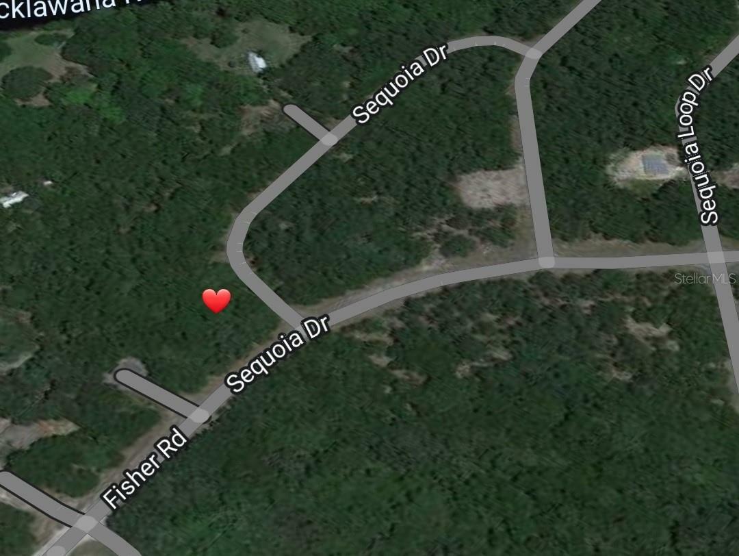 Property Photo: Tbd SE 100th Place FL 32179